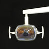 A-dec 1021 Cascade Radius Chair with Euro-style Delivery, Assist. Pkg., Dual Touch Pads, 6300 Light, and Matching Stools.