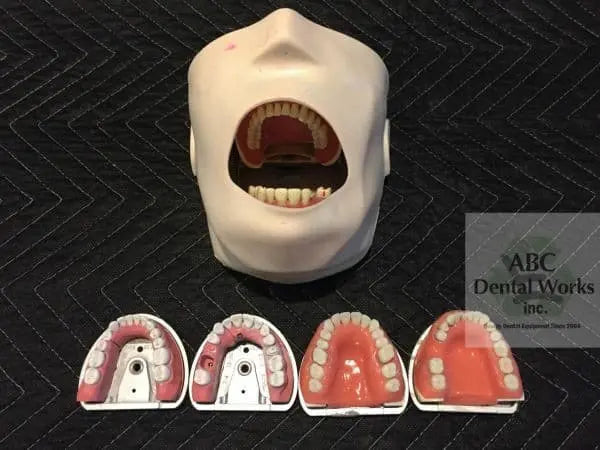 KaVo ModuPro manikin head with typodont jaws and four additional typodont arches