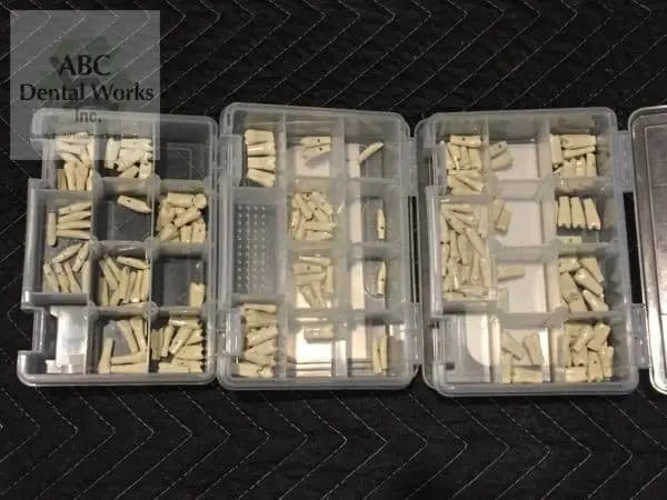 Kavo Jaw, Skin, with Typodents, Extra ModuPro Carrier Trays, Pros Modules, More KAVO