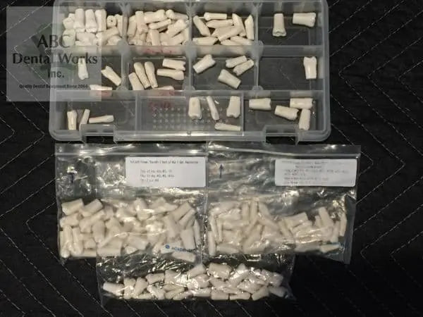 Kavo Jaw, Skin, with Typodents, Extra ModuPro Carrier Trays, Pros Modules, More KAVO