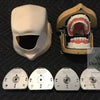 Kavo Jaw, Skin, with Typodents, Extra ModuPro Carrier Trays, Pros Modules, More KAVO